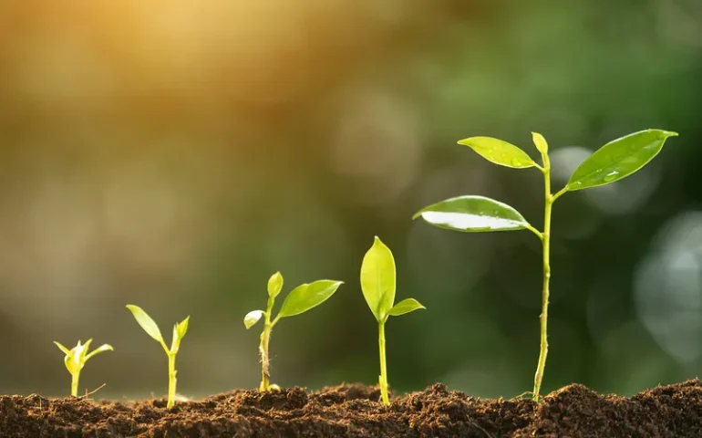 "Image: A graphic illustrating the key steps and strategies for successfully growing a recruitment business, aligned with the topic 'How To Grow A Recruitment Business.'"