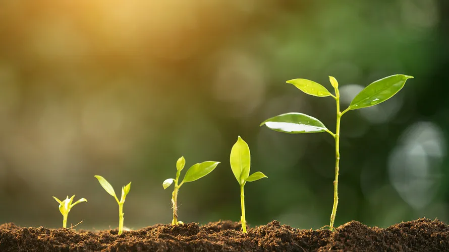 "Image: A graphic illustrating the key steps and strategies for successfully growing a recruitment business, aligned with the topic 'How To Grow A Recruitment Business.'"