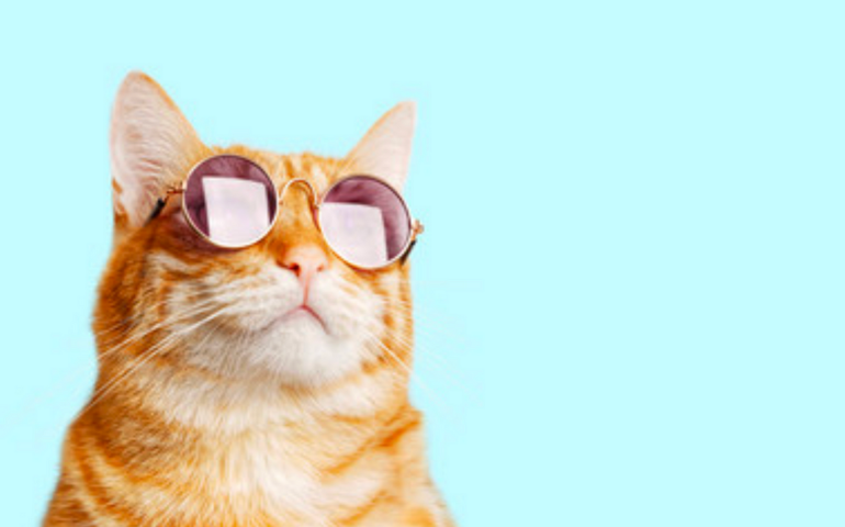 Remote Recruiter Jobs Blog - A guide to the pros and cons to working remotely as a freelance recruiter.